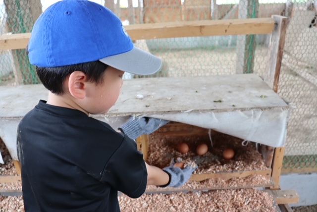 我孫子の地域で、「食」を学ぶ